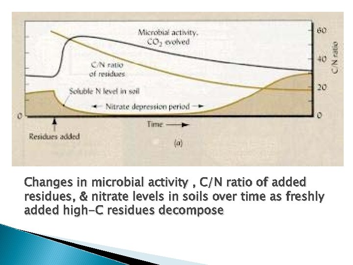 Changes in microbial activity , C/N ratio of added residues, & nitrate levels in