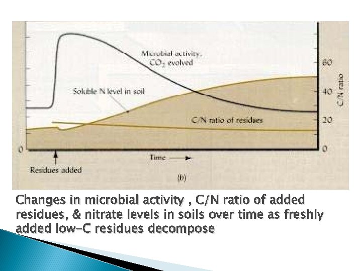 Changes in microbial activity , C/N ratio of added residues, & nitrate levels in