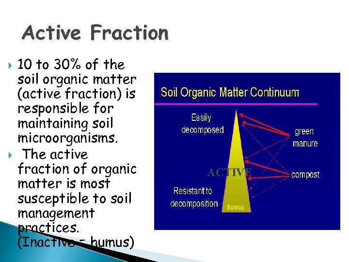 Active Fraction 10 to 30% of the soil organic matter (active fraction) is responsible