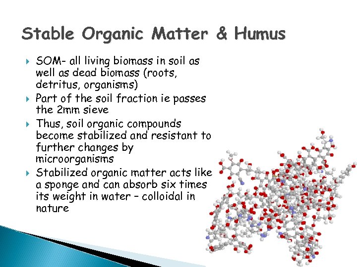 Stable Organic Matter & Humus SOM- all living biomass in soil as well as