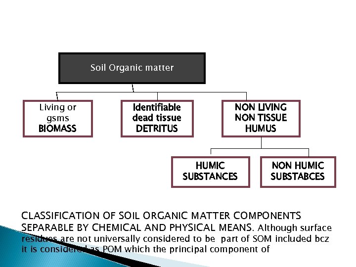 Soil Organic matter Living or gsms BIOMASS Identifiable dead tissue DETRITUS NON LIVING NON