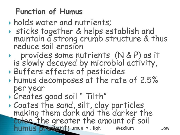 Function of Humus holds water and nutrients; sticks together & helps establish and maintain