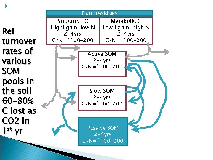  Rel turnover rates of various SOM pools in the soil 60 -80% C