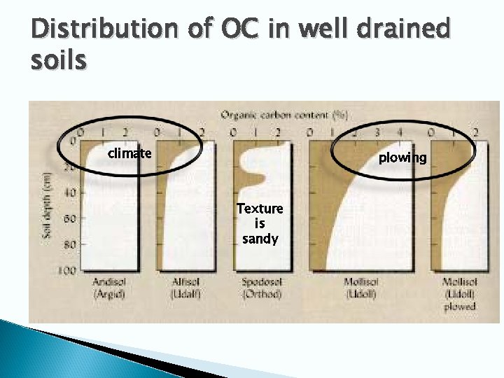 Distribution of OC in well drained soils climate plowing Texture is sandy 