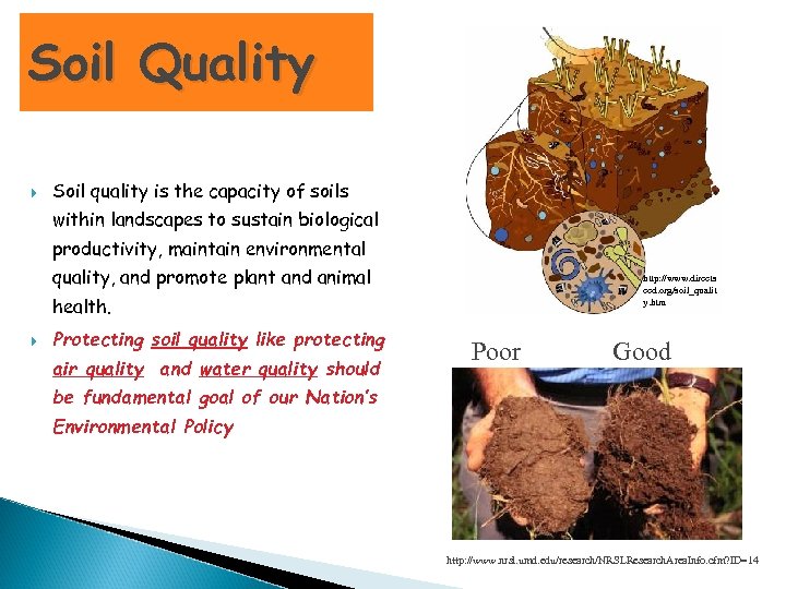 Soil Quality Soil quality is the capacity of soils within landscapes to sustain biological