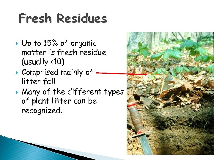 Fresh Residues Up to 15% of organic matter is fresh residue (usually <10) Comprised