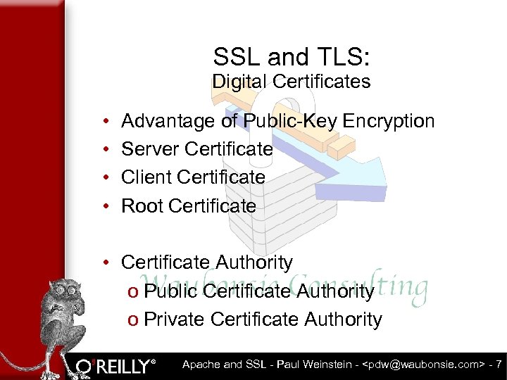 SSL and TLS: Digital Certificates • • Advantage of Public-Key Encryption Server Certificate Client