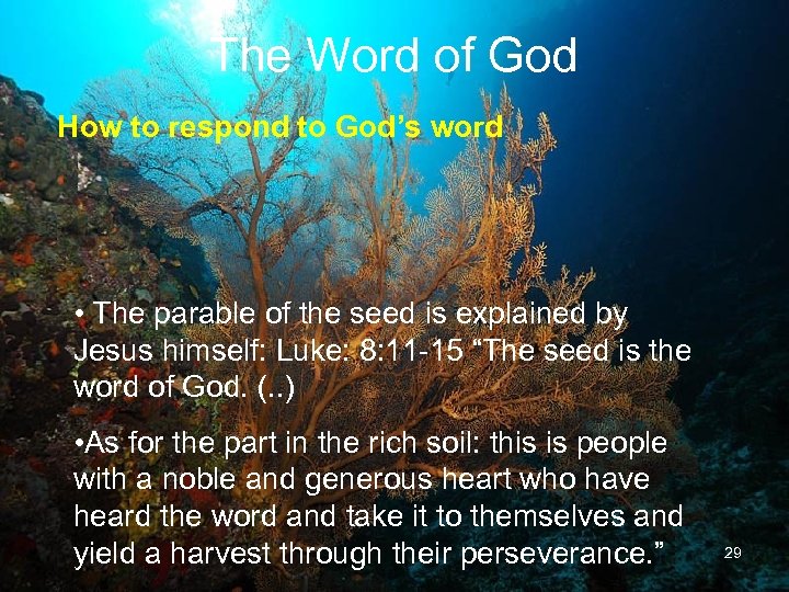The Word of God How to respond to God’s word • The parable of