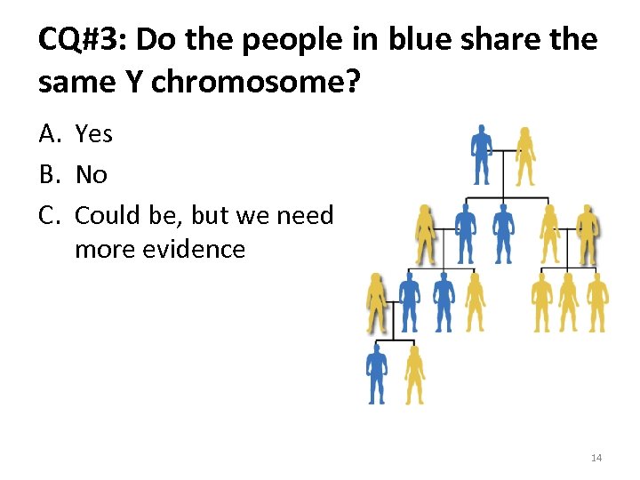 CQ#3: Do the people in blue share the same Y chromosome? A. Yes B.