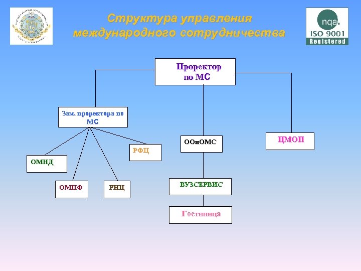 Структура управления международного сотрудничества Проректор по МС Зам. проректора по МС ООи. ОМС РФЦ