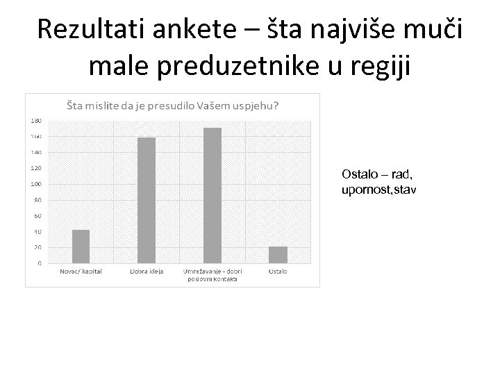 Rezultati ankete – šta najviše muči male preduzetnike u regiji Ostalo – rad, upornost,