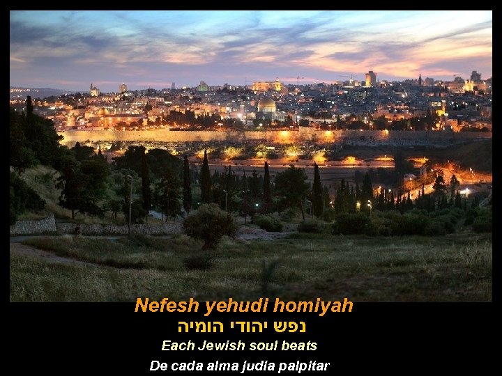 Nefesh yehudi homiyah נפש יהודי הומיה Each Jewish soul beats De cada alma judia
