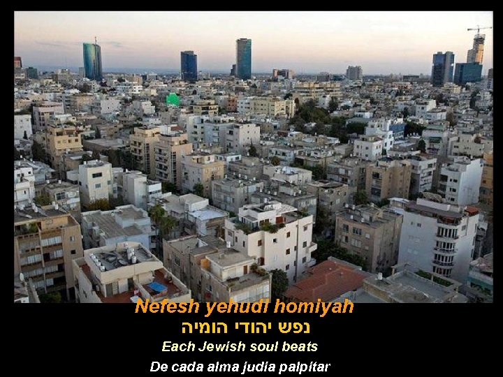 Nefesh yehudi homiyah נפש יהודי הומיה Each Jewish soul beats De cada alma judia