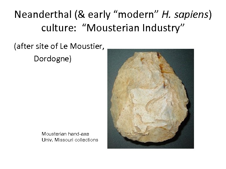 Neanderthal (& early “modern” H. sapiens) culture: “Mousterian Industry” (after site of Le Moustier,