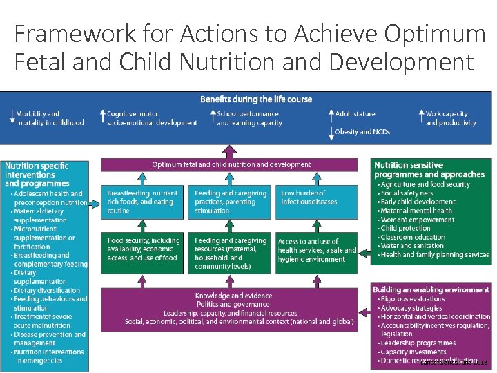 Framework for Actions to Achieve Optimum Fetal and Child Nutrition and Development 9 Lancet
