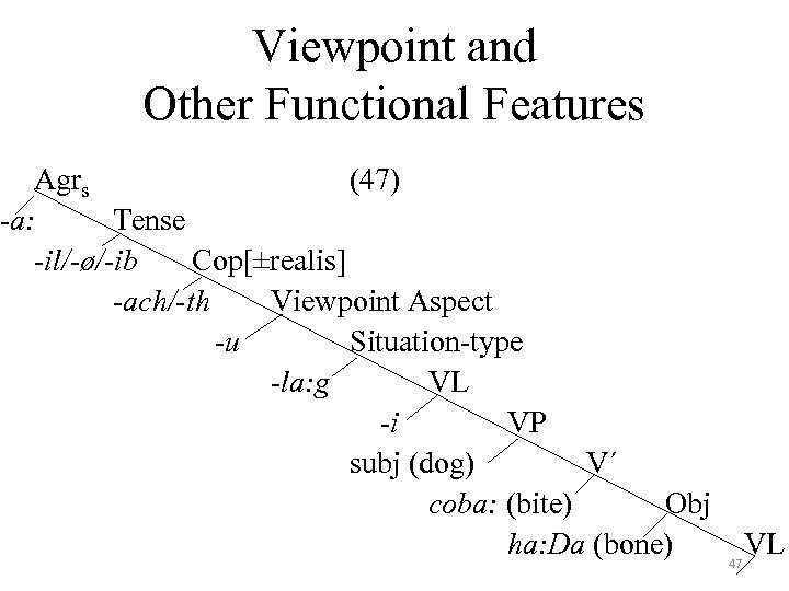 Viewpoint and Other Functional Features Agrs (47) -a: Tense -il/-ø/-ib Cop[±realis] -ach/-th Viewpoint Aspect