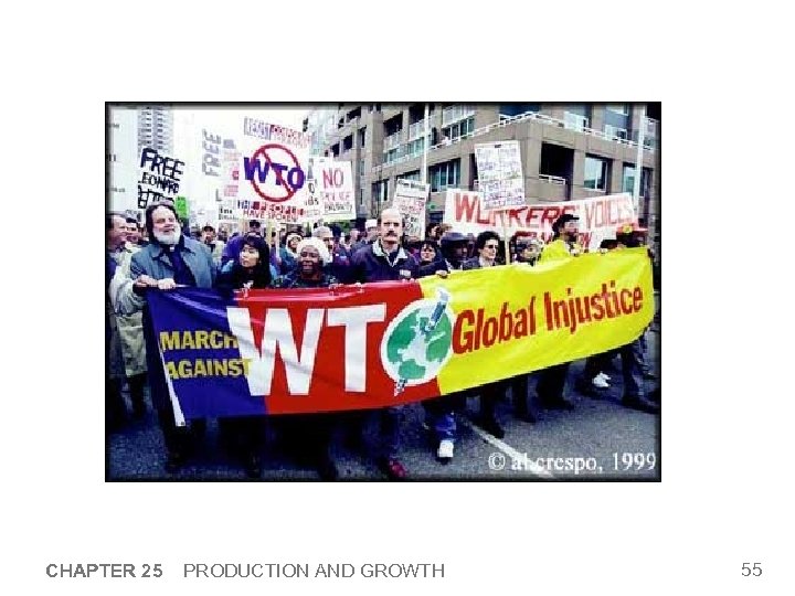 CHAPTER 25 PRODUCTION AND GROWTH 55 