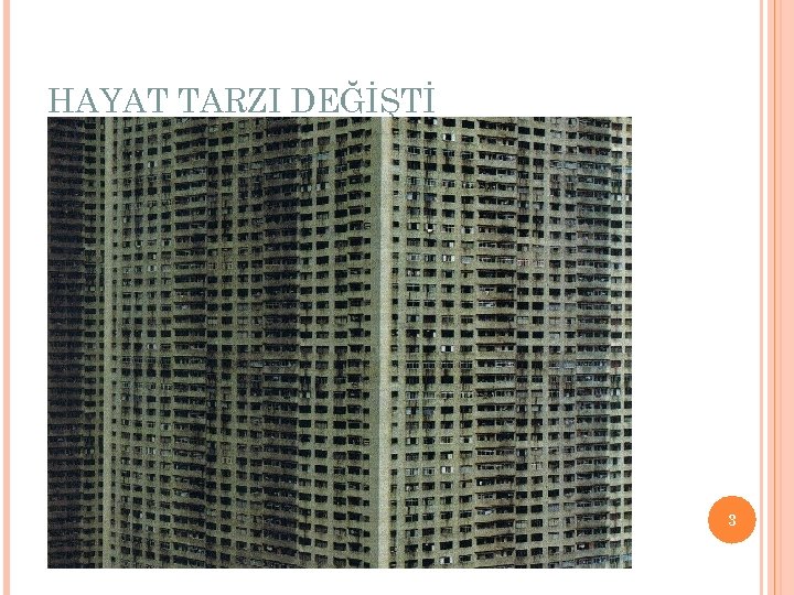 HAYAT TARZI DEĞİŞTİ 3 