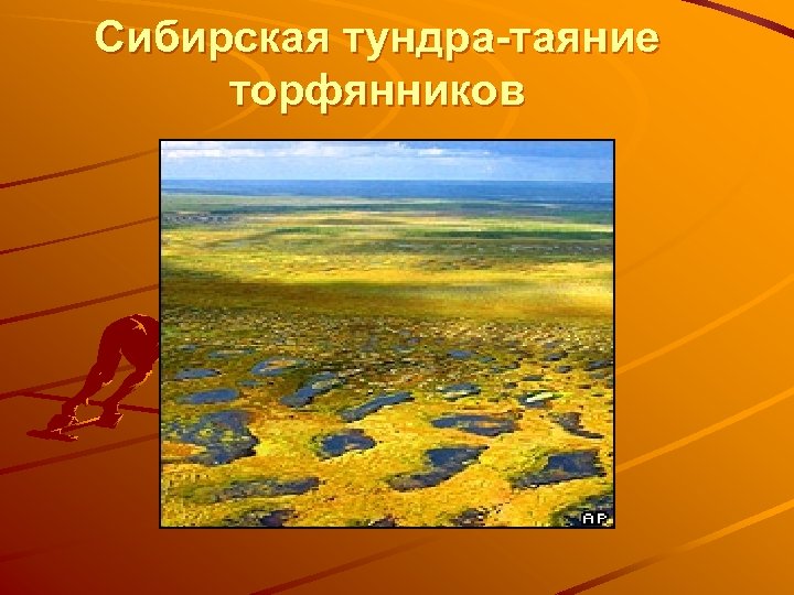 Сибирская тундра-таяние торфянников 