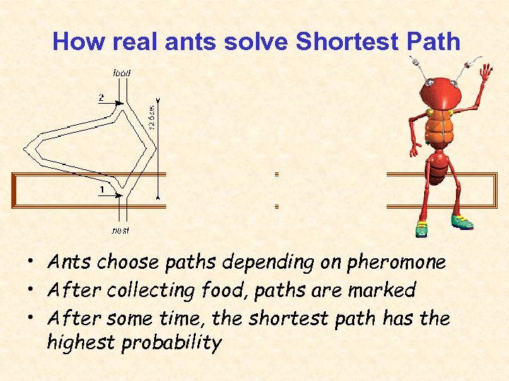 How real ants solve Shortest Path • Ants choose paths depending on pheromone •