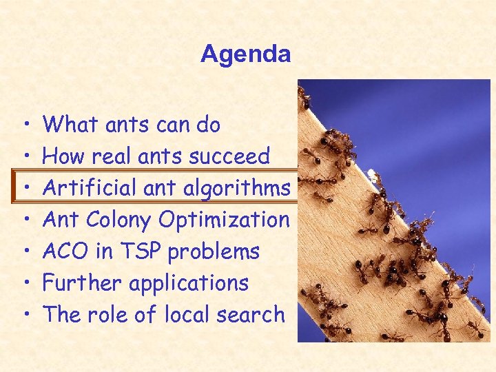 Agenda • • What ants can do How real ants succeed Artificial ant algorithms