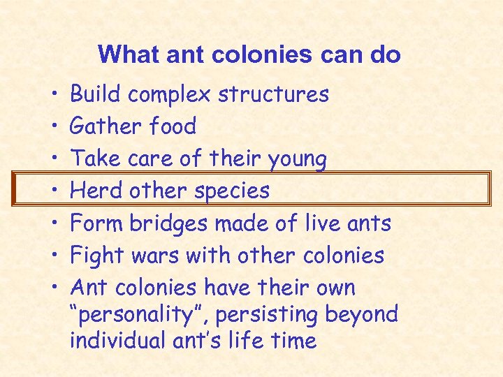 What ant colonies can do • • Build complex structures Gather food Take care