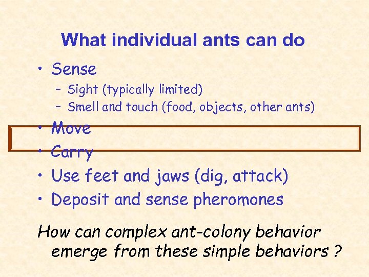 What individual ants can do • Sense – Sight (typically limited) – Smell and