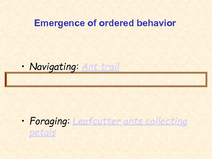 Emergence of ordered behavior • Navigating: Ant trail • Foraging: Leafcutter ants collecting petals