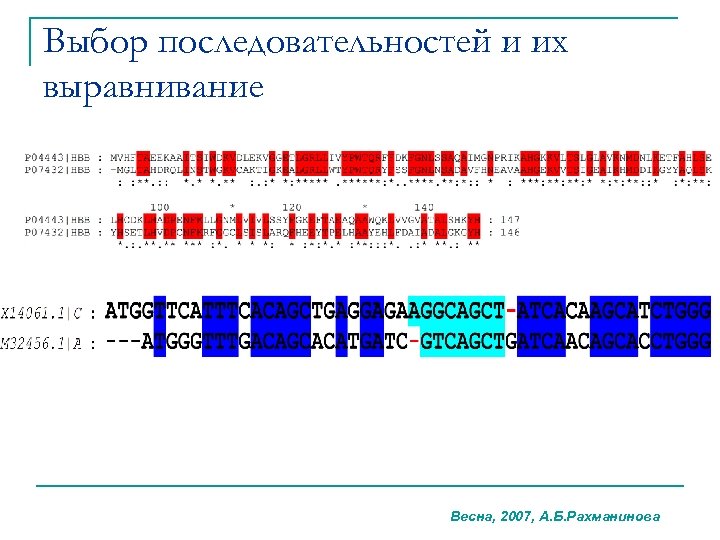 Выбор последовательностей и их выравнивание Весна, 2007, А. Б. Рахманинова 