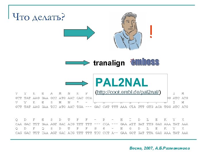 Что делать? ! tranalign PAL 2 NAL (http: //coot. embl. de/pal 2 nal/) Весна,