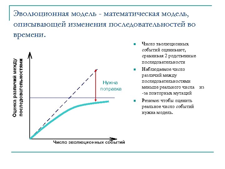 Эволюционная модель - математическая модель, описывающей изменения последовательностей во времени. n n Нужна поправка