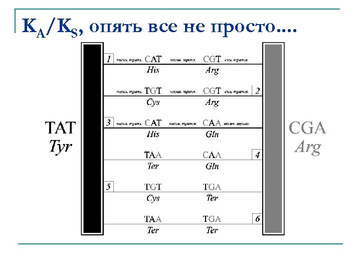 KA/KS, опять все не просто. . 