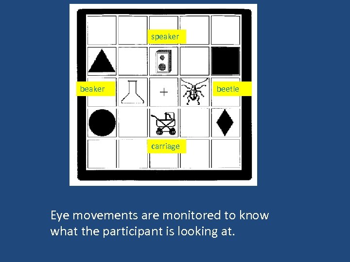 speaker beetle carriage Eye movements are monitored to know what the participant is looking