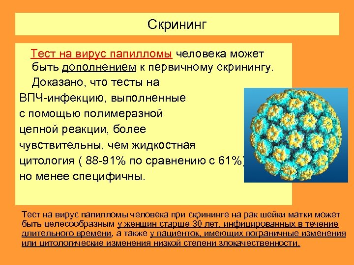 Скрининг Тест на вирус папилломы человека может быть дополнением к первичному скринингу. Доказано, что