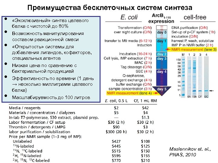 Преимущества бесклеточных систем синтеза • • • «Эксклюзивный» синтез целевого белка с чистотой до