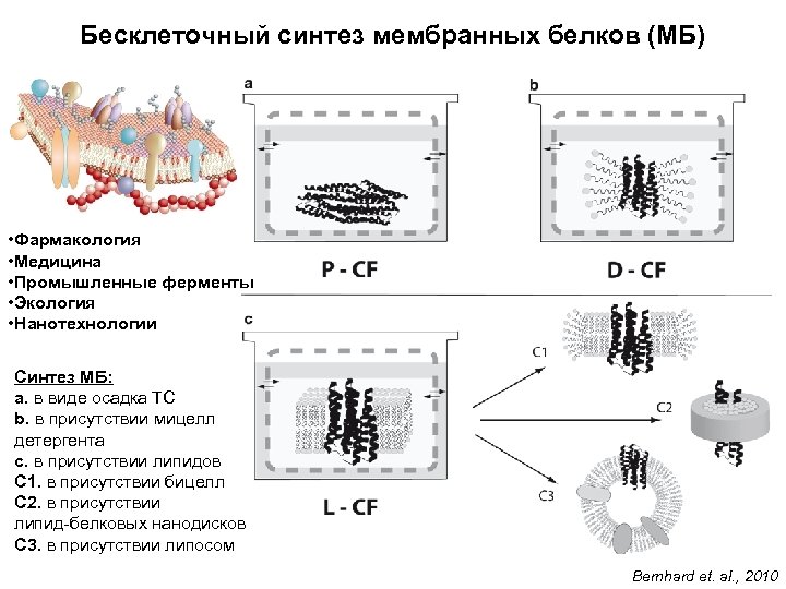 Бесклеточный синтез мембранных белков (МБ) • Фармакология • Медицина • Промышленные ферменты • Экология