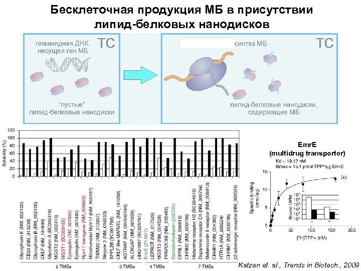 Бесклеточная продукция МБ в присутствии липид-белковых нанодисков Emr. E (multidrug transporter) Katzen et. al.
