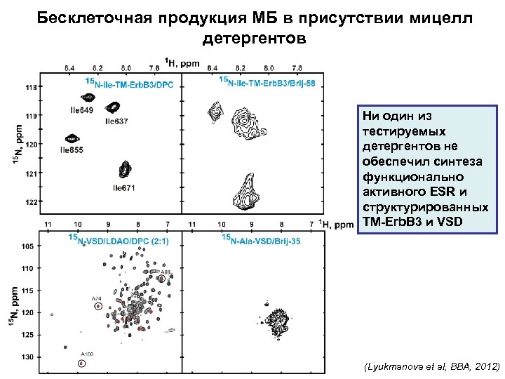 Бесклеточная продукция МБ в присутствии мицелл детергентов Ни один из тестируемых детергентов не обеспечил