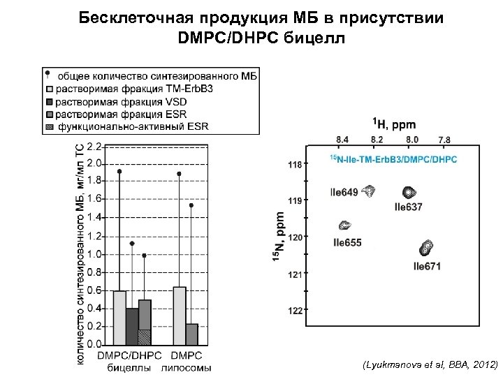 Бесклеточная продукция МБ в присутствии DMPC/DHPC бицелл (Lyukmanova et al, BBA, 2012) 