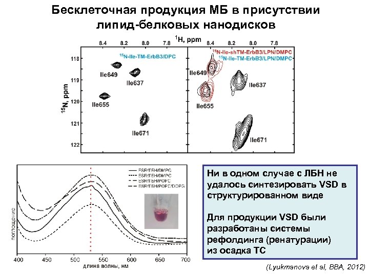 Бесклеточная продукция МБ в присутствии липид-белковых нанодисков Ни в одном случае с ЛБН не