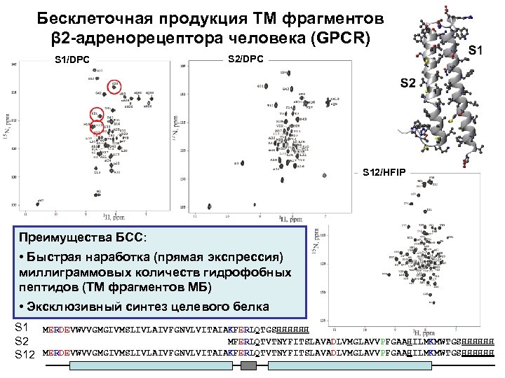 Бесклеточная продукция ТМ фрагментов β 2 -адренорецептора человека (GPCR) S 1/DPC S 2/DPC S