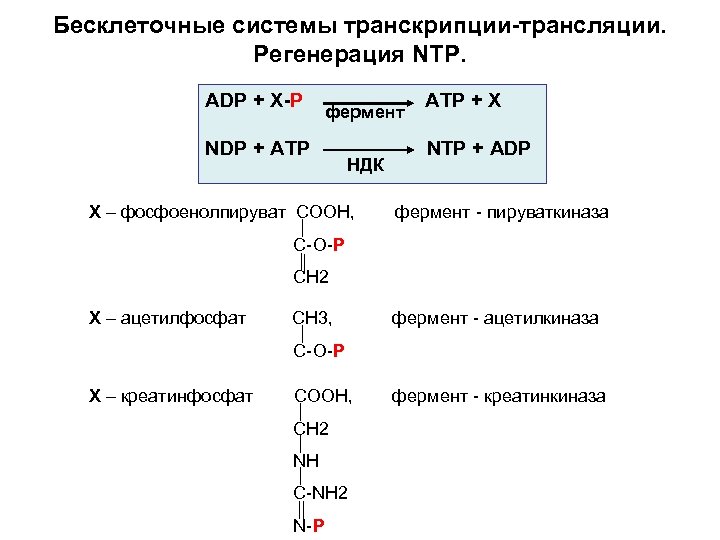 Бесклеточные системы транскрипции-трансляции. Регенерация NTP. ADP + X-P фермент NDP + ATP НДК X