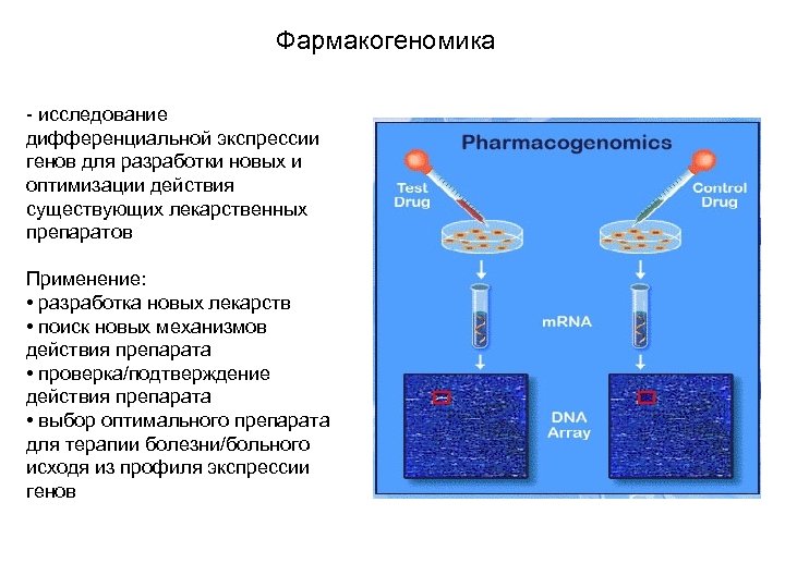 Фармакогеномика - исследование дифференциальной экспрессии генов для разработки новых и оптимизации действия существующих лекарственных