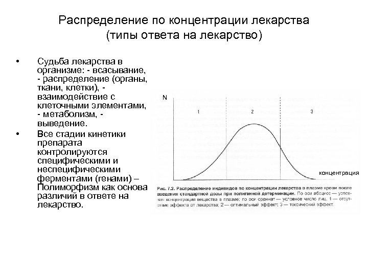 Распределение по концентрации лекарства (типы ответа на лекарство) • • Судьба лекарства в организме: