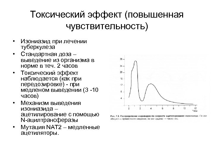 Токсический эффект (повышенная чувствительность) • Изониазид при лечении туберкулеза • Стандартная доза – выведение