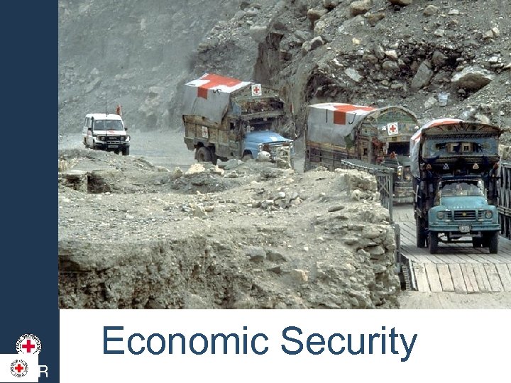 Economic Security 