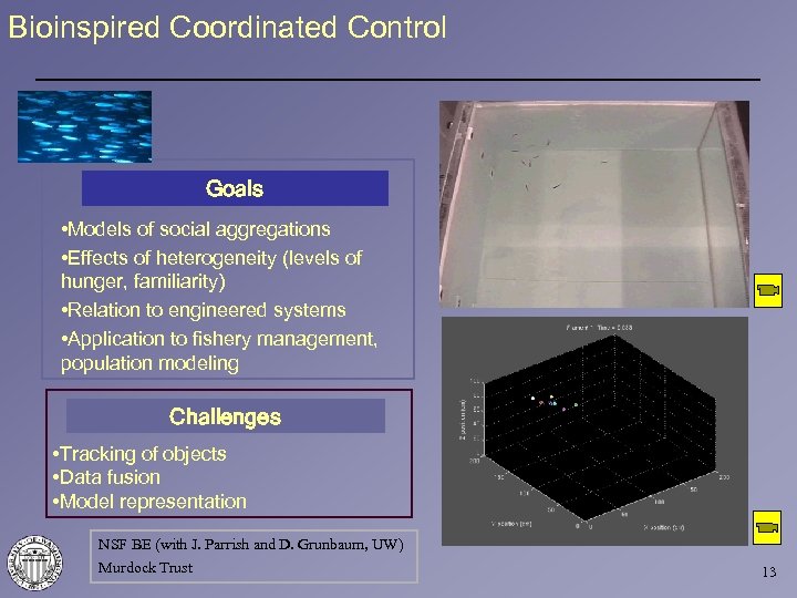 Bioinspired Coordinated Control Goals • Models of social aggregations • Effects of heterogeneity (levels