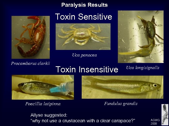 Paralysis Results Toxin Sensitive Uca panacea Procambarus clarkii Toxin Insensitive Poecillia latipinna Uca longisignalis