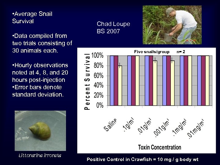  • Average Snail Survival • Data compiled from two trials consisting of 30