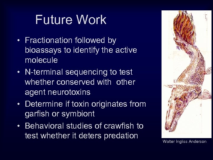 Future Work • Fractionation followed by bioassays to identify the active molecule • N-terminal
